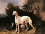 A Greyhound In An Extensive Lands (Alfred Dedreux)