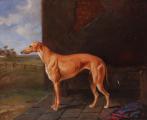 Greyhound Judge (William Henry Wheelwright ,1855)