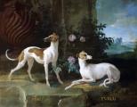 Misse and Turlu Two Greyhounds of Louis XV (Jean-Baptiste Oudry)